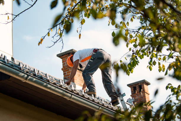 Best Roof Waterproofing Services  in New Carrollton, MD